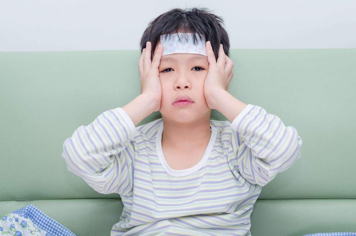 món ăn tăng sức đề kháng món ăn tăng sức đề kháng