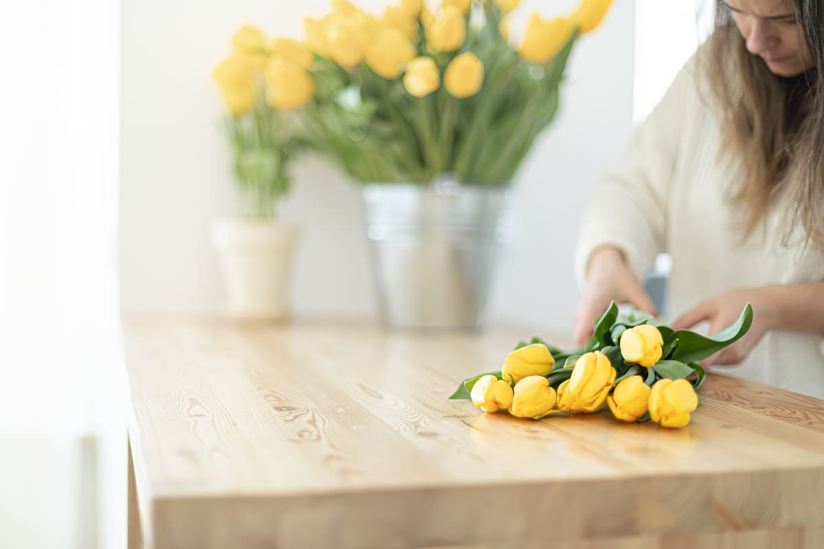 cách chăm sóc hoa tulip tươi lâu chăm sóc hoa tulip