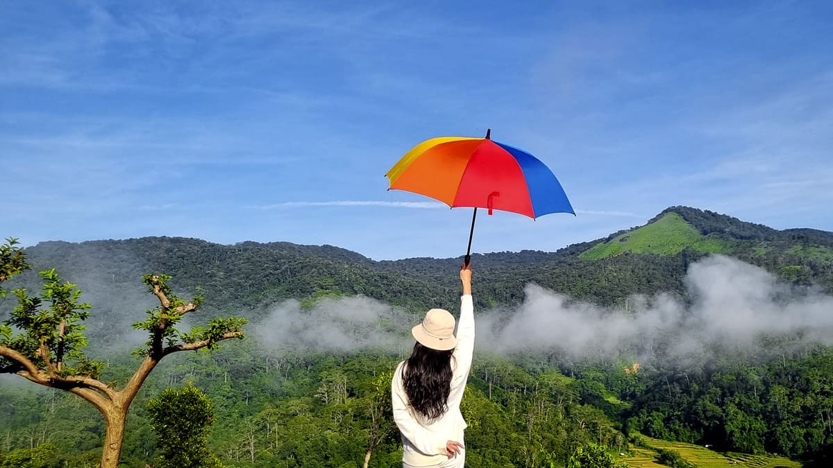 tử vi tuần mới của 12 cung hoàng đạo