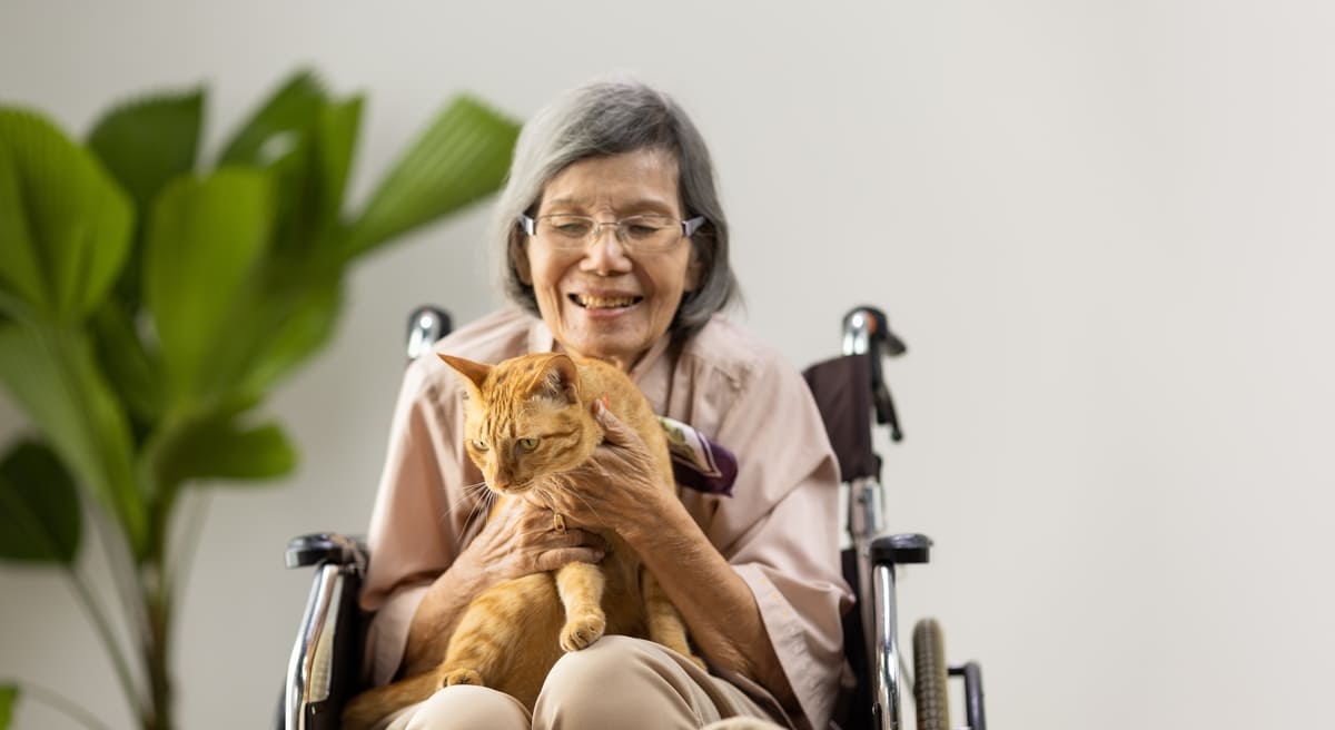 định nghĩa sa sút trí tuệ là gì sa sút trí tuệ là gì