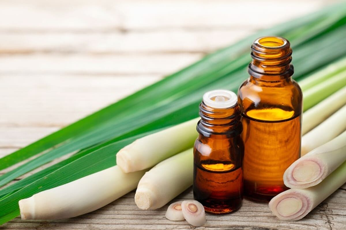 những công dụng của tinh dầu sả