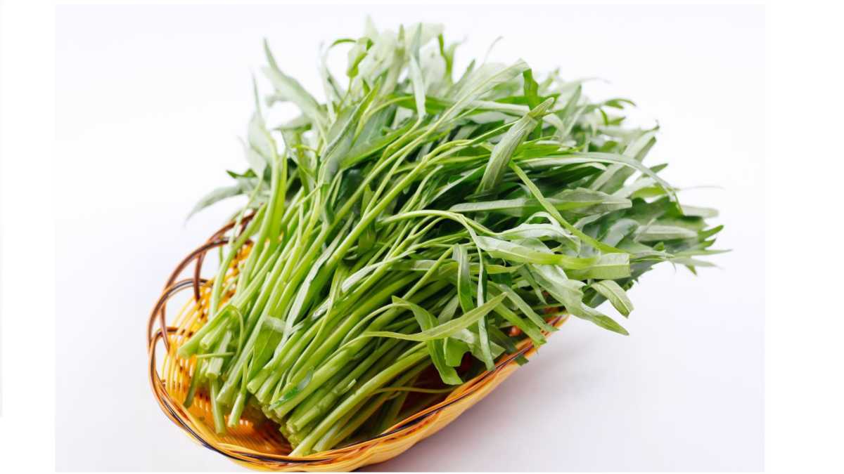 cách làm rau muống xào chao giàu dưỡng chất cách làm rau muống xào chao giàu dinh dưỡng