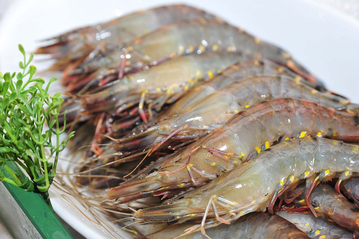 Các cách làm tôm chiên xù thông qua việc chọn nguyên liệu Các cách làm tôm chiên xù qua việc chọn nguyên liệu