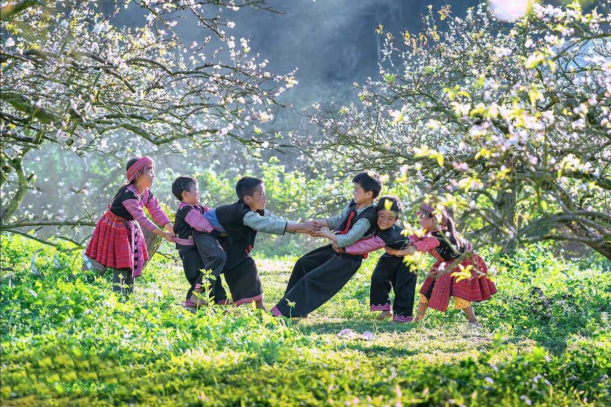 kinh nghiệm du lịch mộc châu
