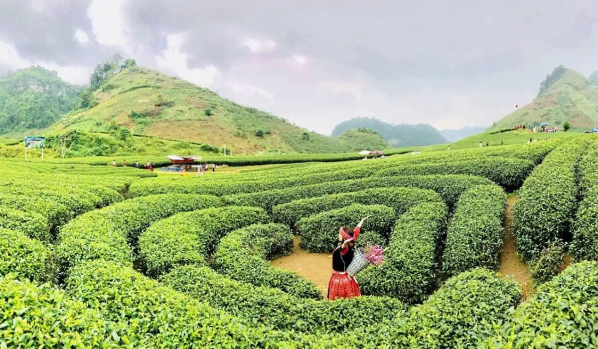 Du lịch Mộc Châu mùa nào đẹp