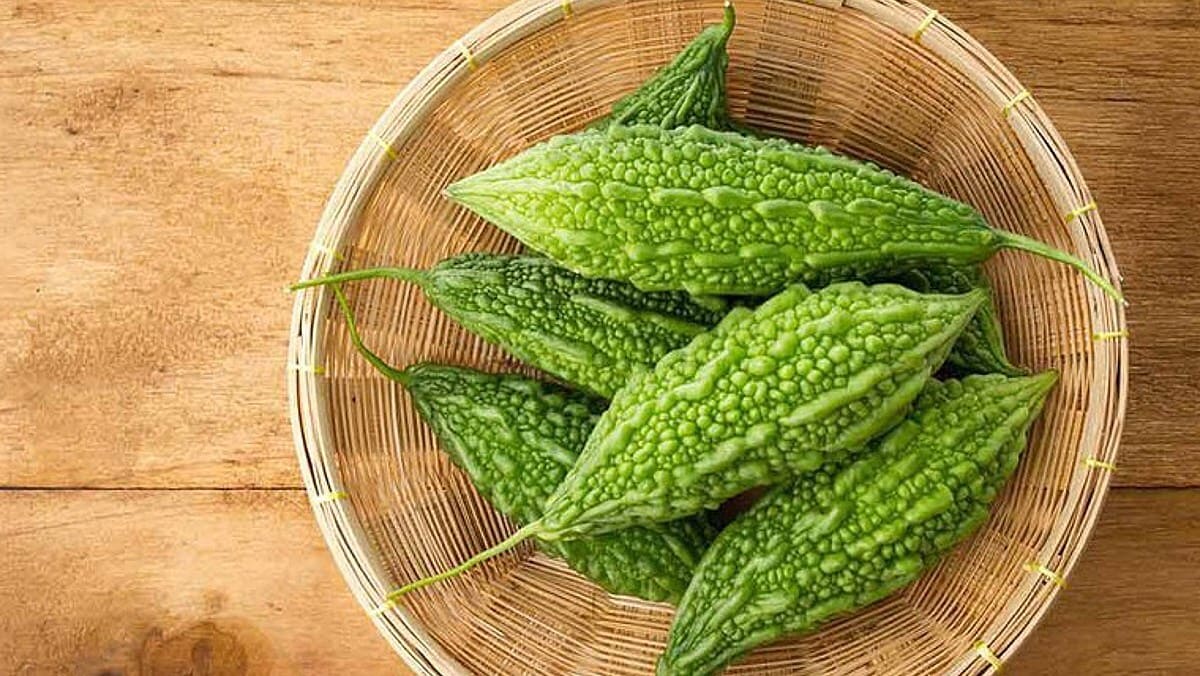 lợi ích của mặt nạ khổ qua Tác dụng của mặt nạ khổ qua