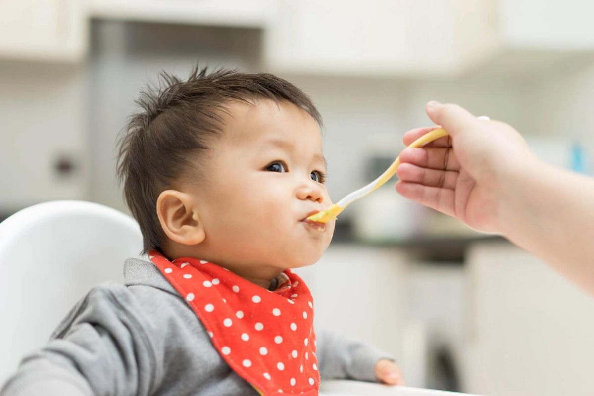 nồi nấu chậm cho bé