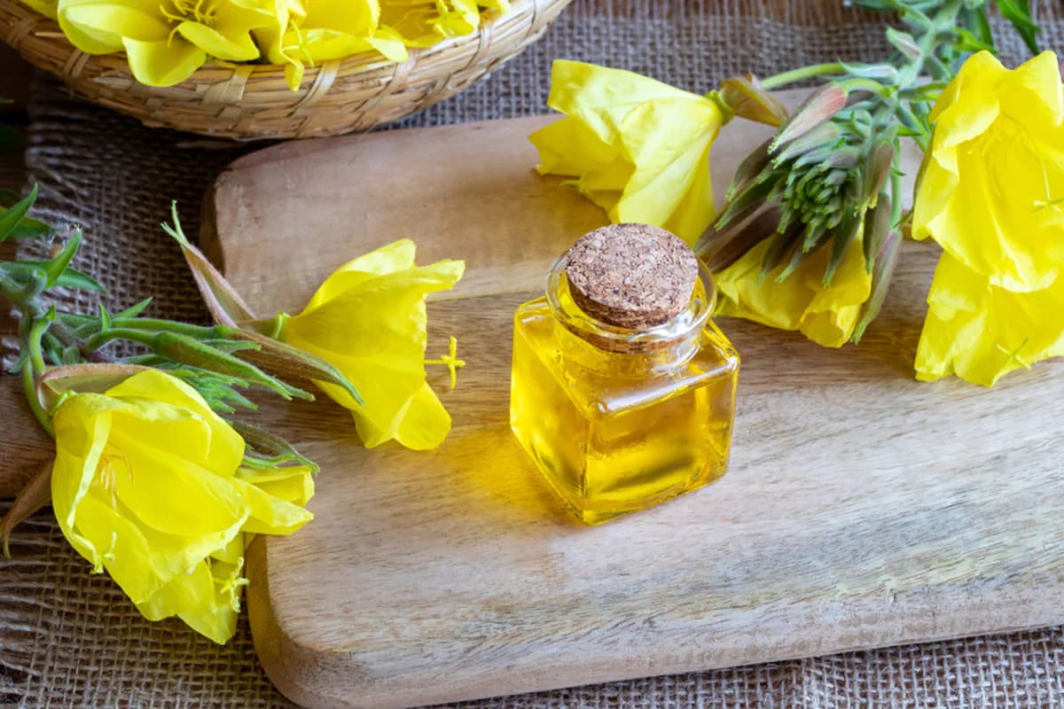 Tác dụng phụ của tinh dầu hoa anh thảo Cách sử dụng tinh dầu hoa anh thảo