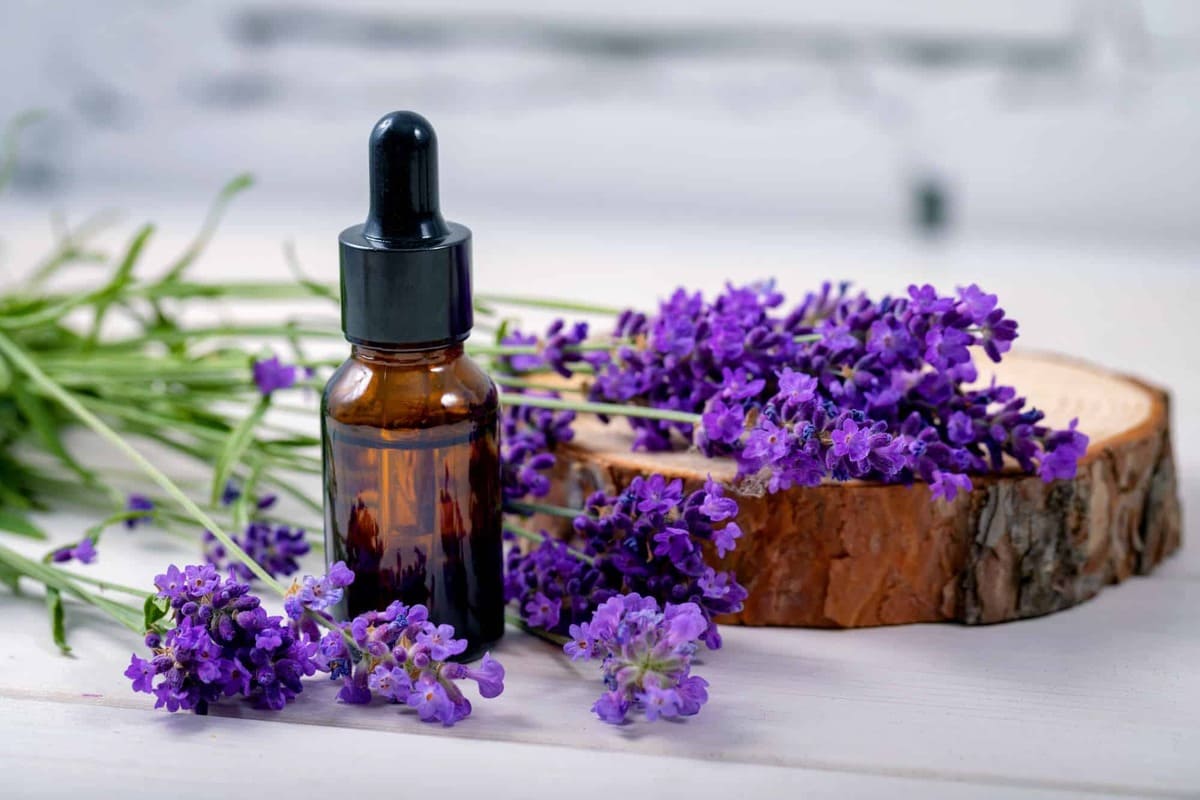 tinh dầu trị sẹo mụn tại nhà những loại tinh dầu trị sẹo mụn tại nhà