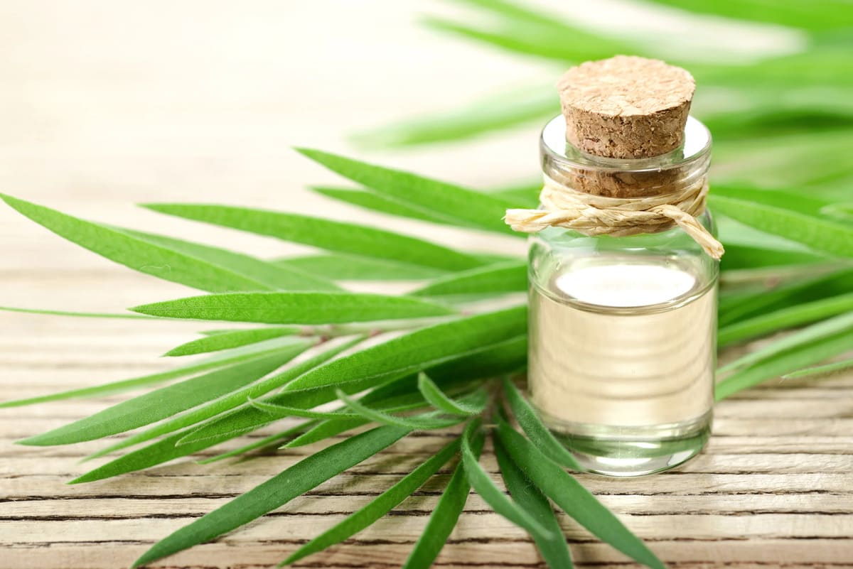 những loại tinh dầu trị sẹo mụn hiệu quả những loại tinh dầu trị sẹo mụn