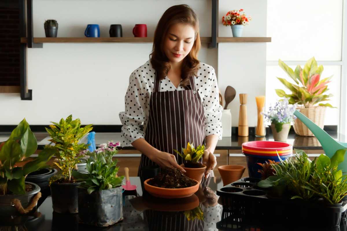 Lợi ích việc trang trí cây xanh trong nhà Lợi ích việc trang trí cây xanh trong nhà