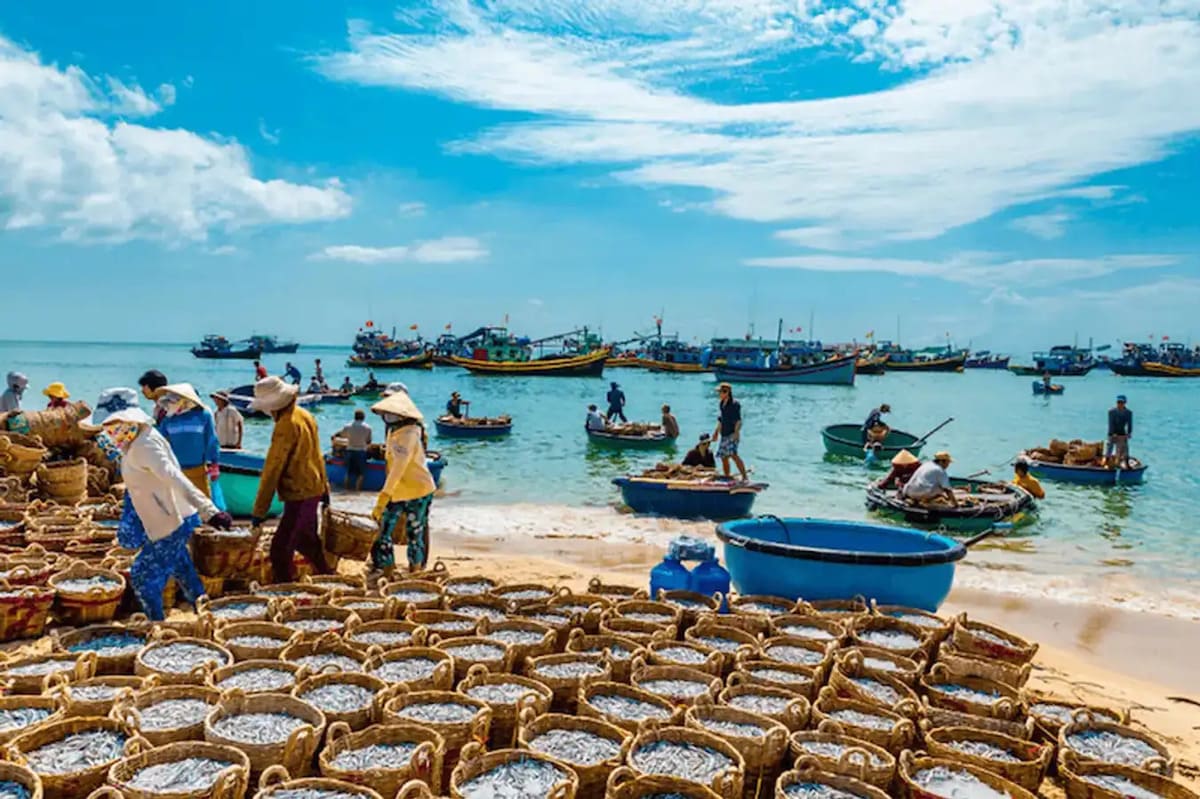 kinh nghiệm Du lịch Phan Thiết - Mũi Né mùa nào đẹp Du lịch Phan Thiết - Mũi Né mùa nào đẹp