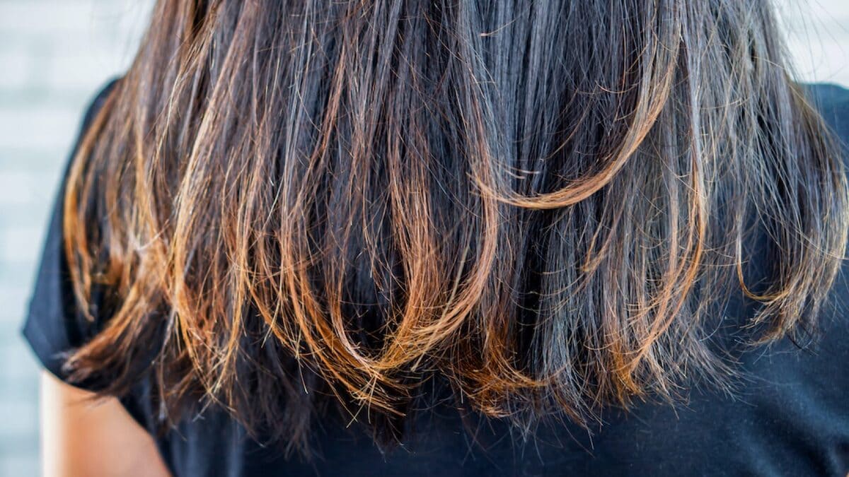 Nguyên nhân khiến đuôi tóc khô xơ Nguyên nhân khiến đuôi tóc khô xơ chẻ ngọn