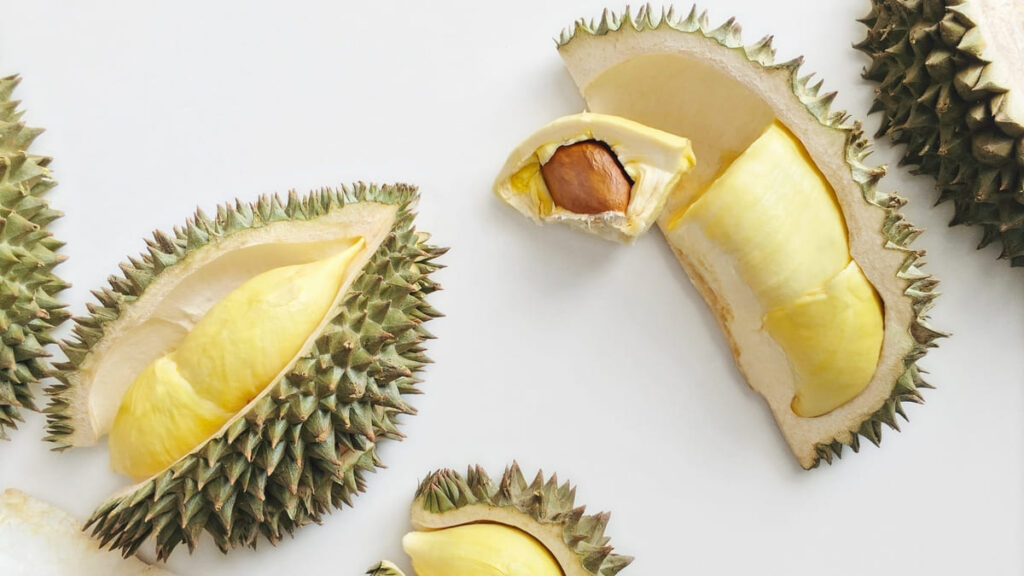 hạt sầu riêng