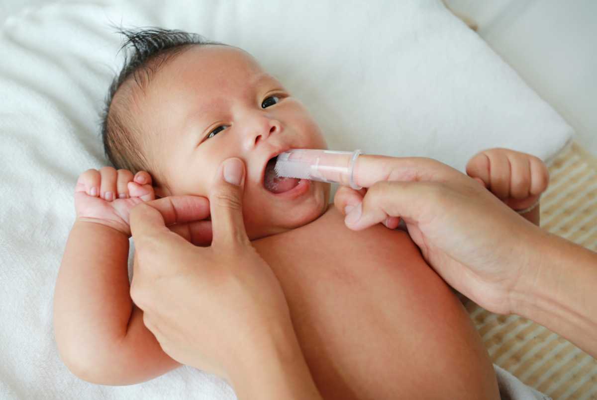 chăm sóc răng miệng khi mọc nanh sữa ở trẻ sơ sinh chăm sóc răng miệng khi có nanh sữa ở trẻ sơ sinh