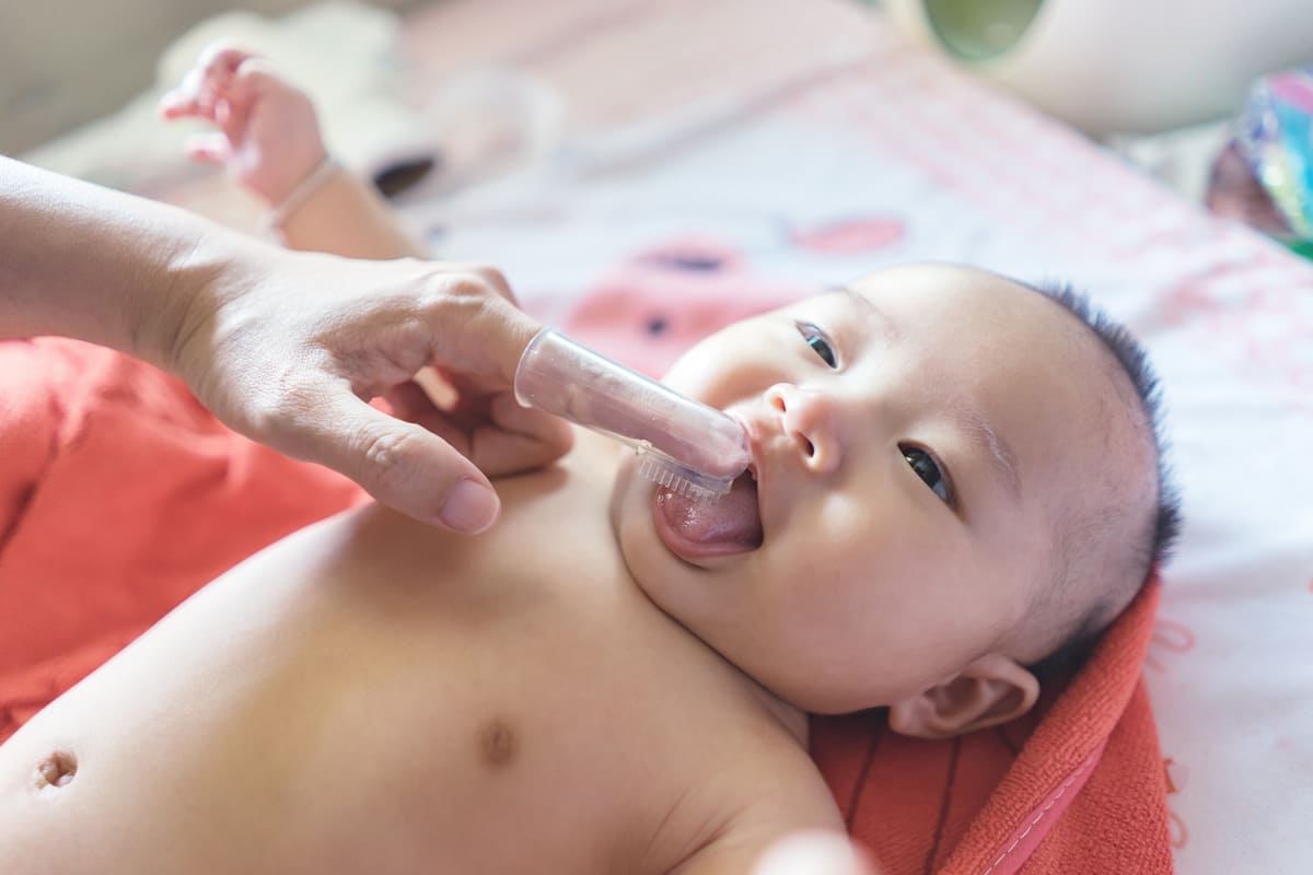 hướng dẫn rơ lưỡi bằng rau ngót cách rơ lưỡi bằng rau ngót
