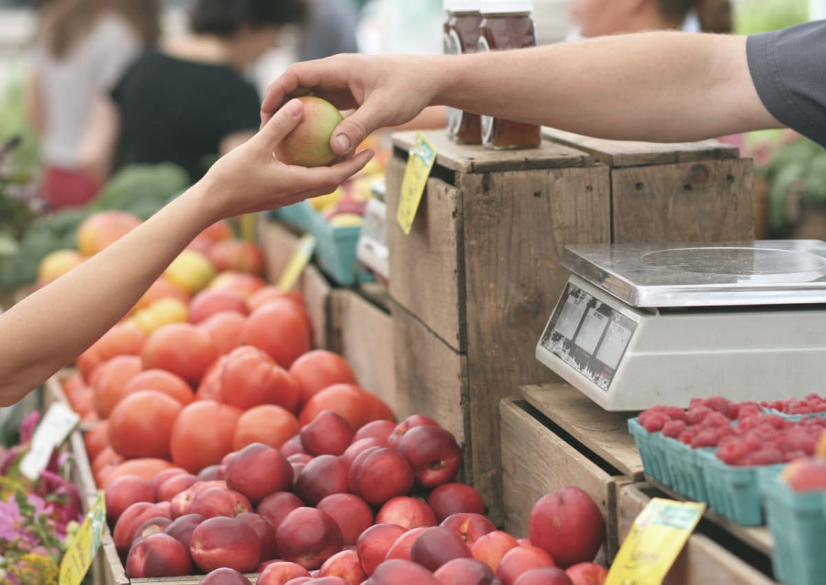 kinh nghiệm đi du lịch giá rẻ không bị chặt chém kinh nghiệm đi du lịch tự túc không bị chặt chém