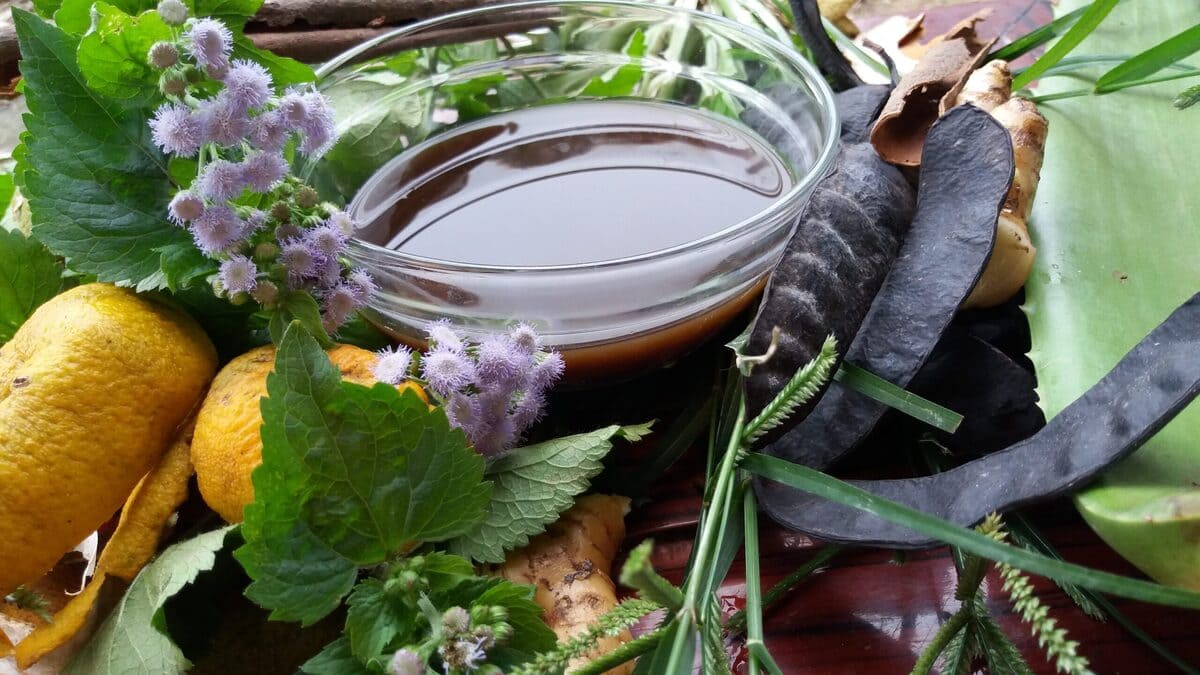 tự nấu nước gội đầu tại nhà