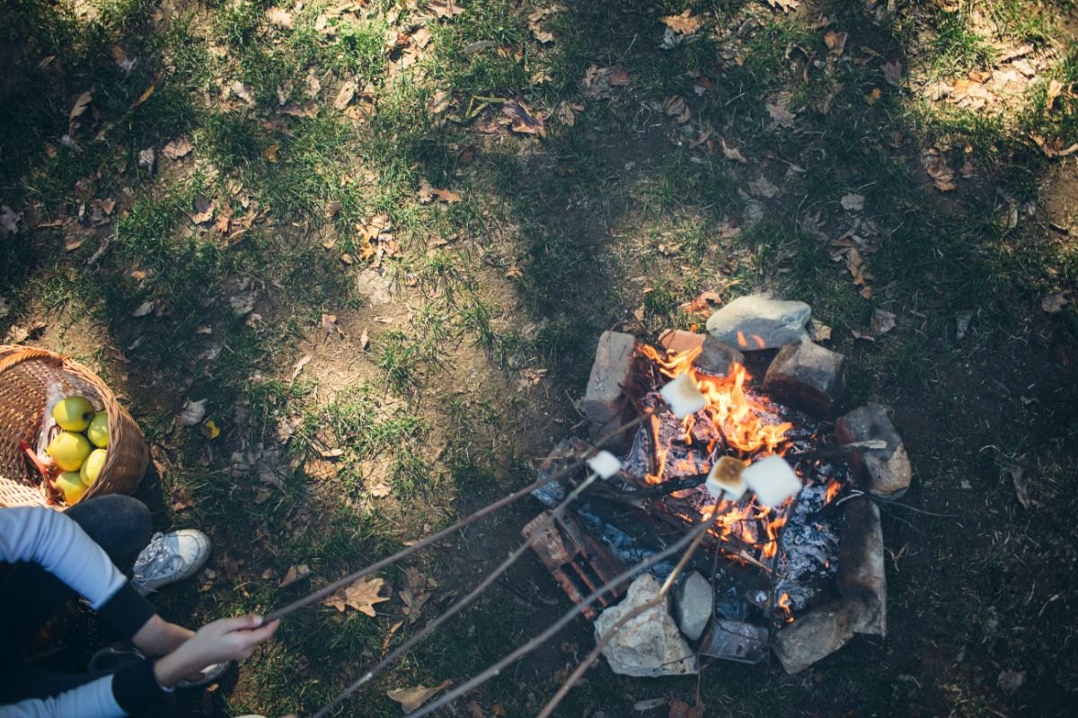 03 lưu ý đặc biệt cho gia đình khi đi camping trong rừng