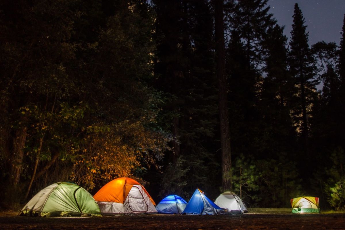 03 lưu ý đặc biệt cho gia đình khi đi camping trong rừng