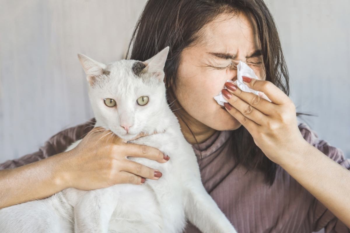 Làm thế nào nếu bị dị ứng lông chó mèo