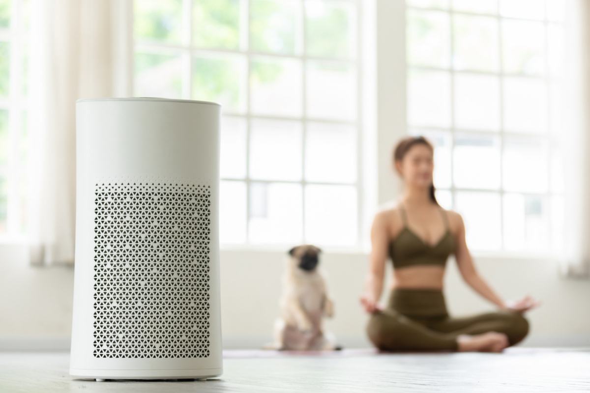 hạn chế nguy cơ dị ứng lông chó mèo bằng máy lọc không khí