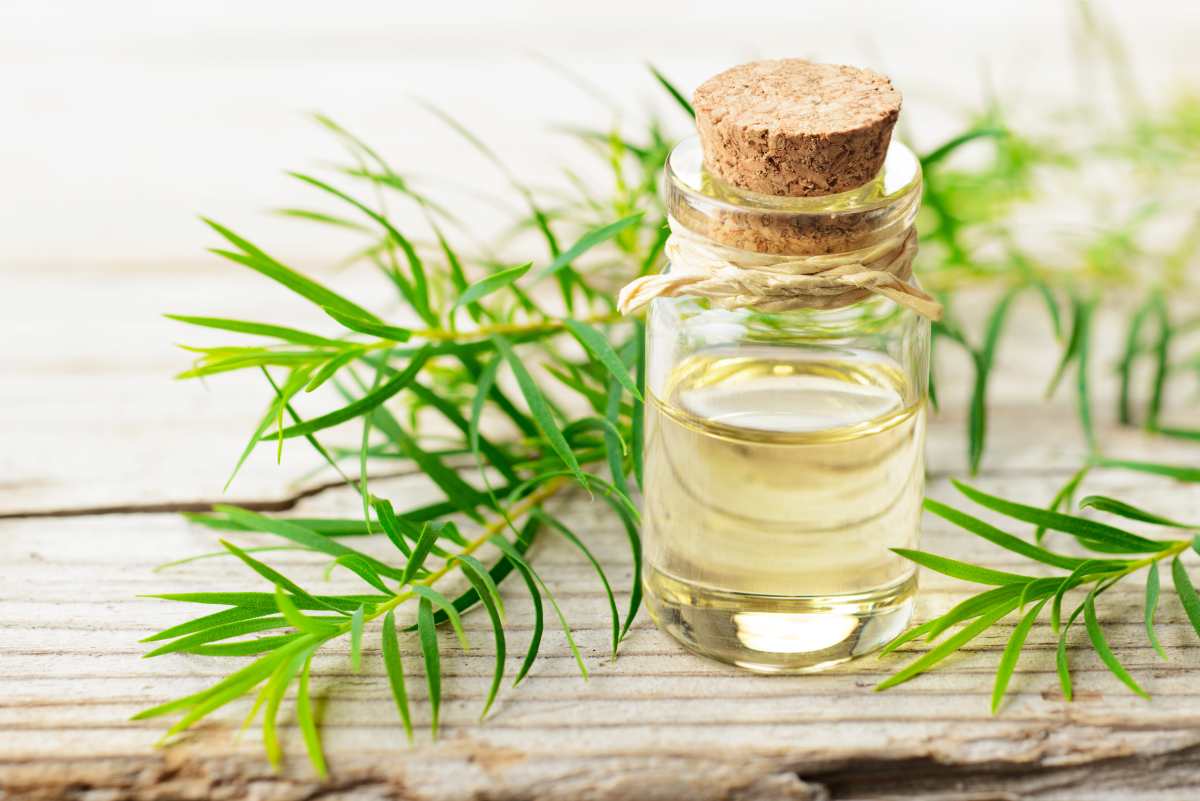 những điều cần lưu ý khi xức dầu gió lưu ý xức dầu gió