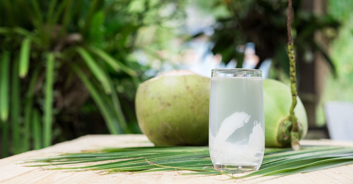 lợi ích từ nước dừa tươi lợi ích của nước dừa tươi