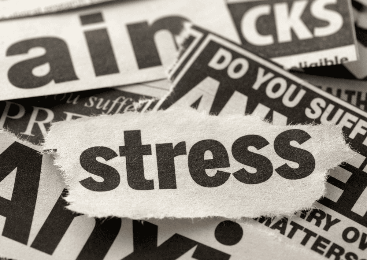 stress là gì Nguyên nhân dẫn đến stress
