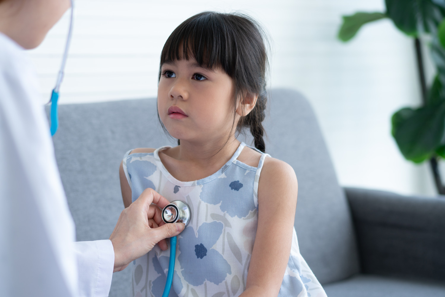 phòng ngừa dấu hiệu nhiễm sán chó là nên đi khám sức khỏe định kỳ phòng ngừa dấu hiệu nhiễm sán chó là nên thăm khám sức khỏe định kỳ