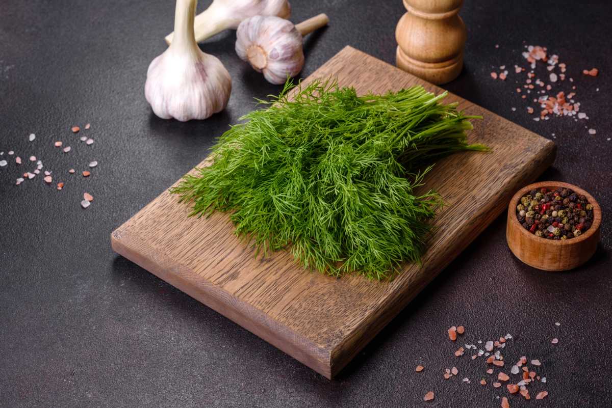 Rau thì là có tác dụng gì về sức khỏe mà luôn được ưa chuộng