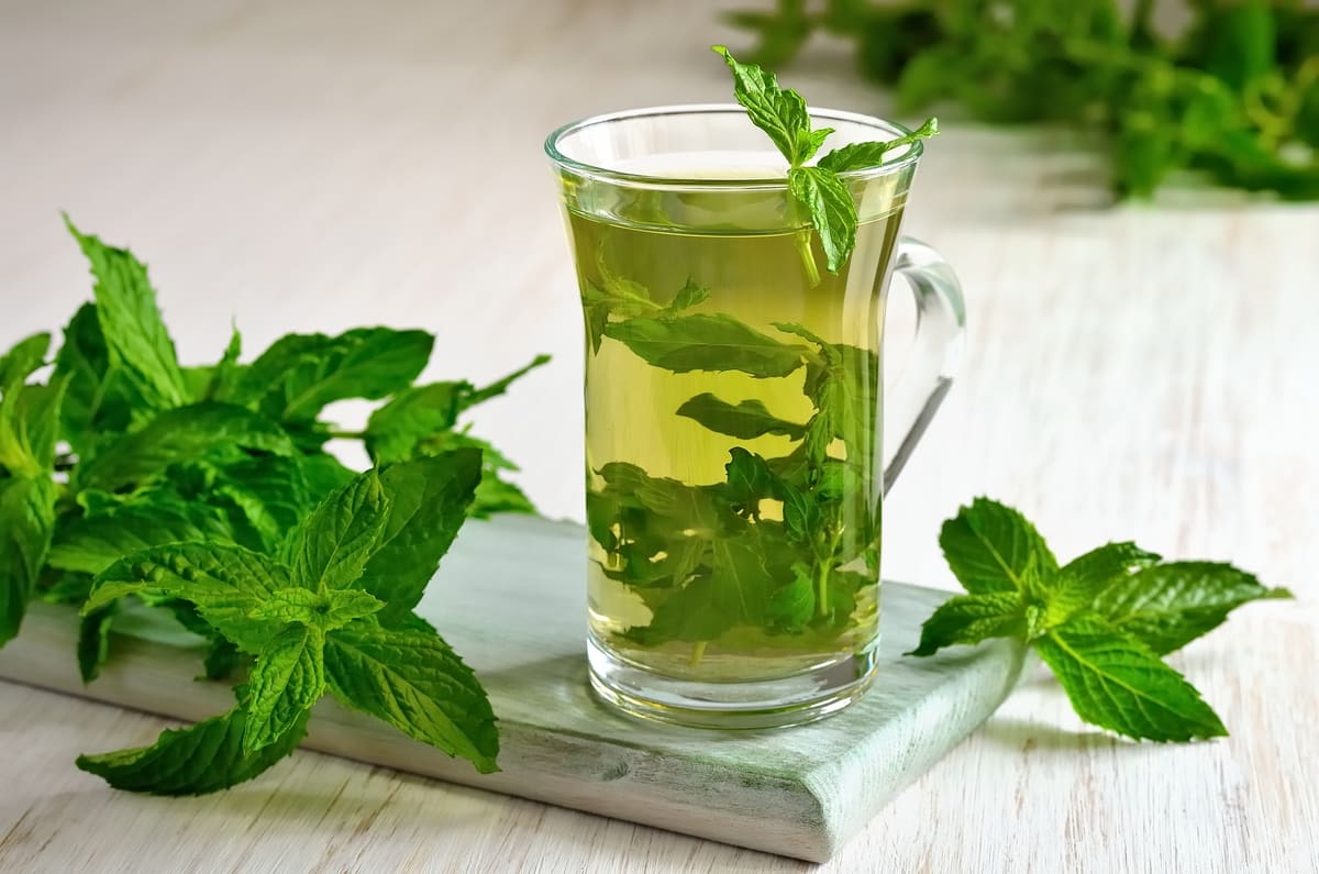 cách đẩy nhanh quá trình trao đổi chất của cơ thể cách làm quá trình trao đổi chất nhanh hơn