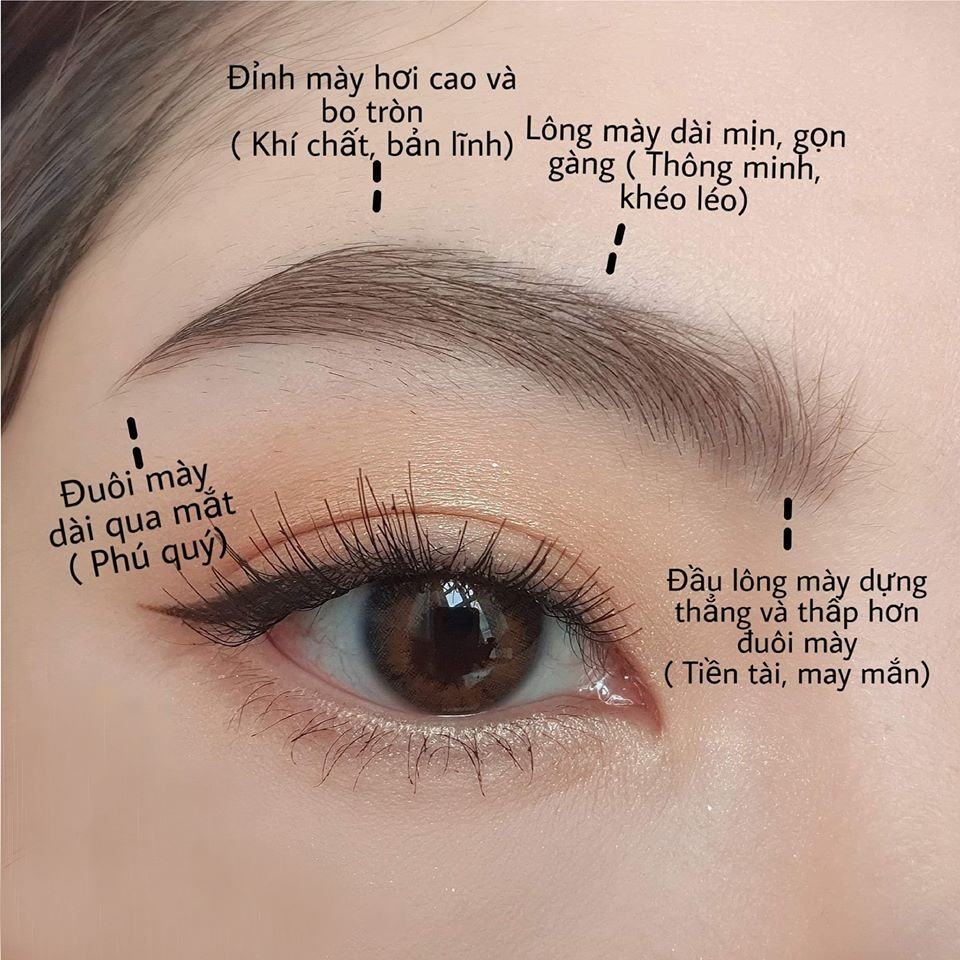 nhận biết dáng lông mày phát tài nhận diện dáng lông mày phát tài