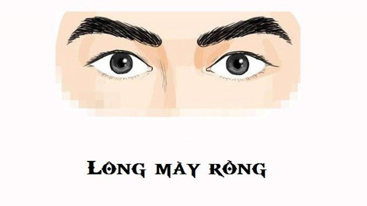 dáng lông mày phát tài là dáng lông mày rồng dáng lông mày phát tài là lông mày rồng