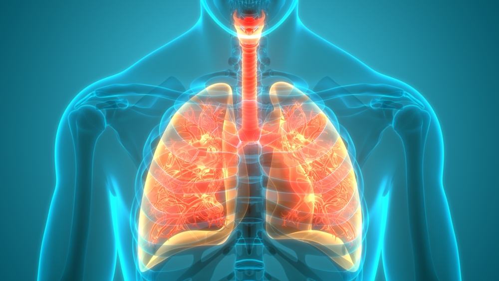 hôn nhân cận huyết có thể gây bệnh xơ nang cho trẻ em hôn nhân cận huyết có thể gây bệnh xơ nang cho trẻ