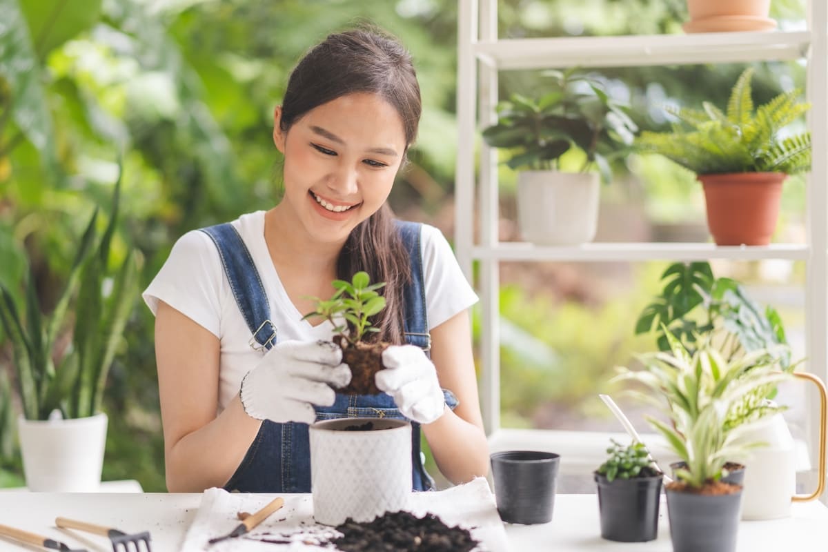 Ô nhiễm không khí báo động và 11 cách chủ động bảo vệ sức khỏe 39 trồng cây giảm ô nhiễm không khí