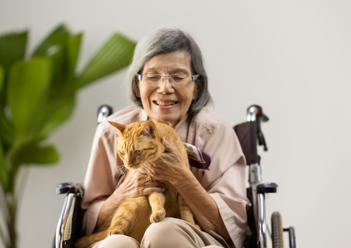 9 yếu tố này có thể làm tăng nguy cơ mắc bệnh Alzheimer, nên lưu ý! 39 tăng nguy cơ mắc bệnh Alzheimer