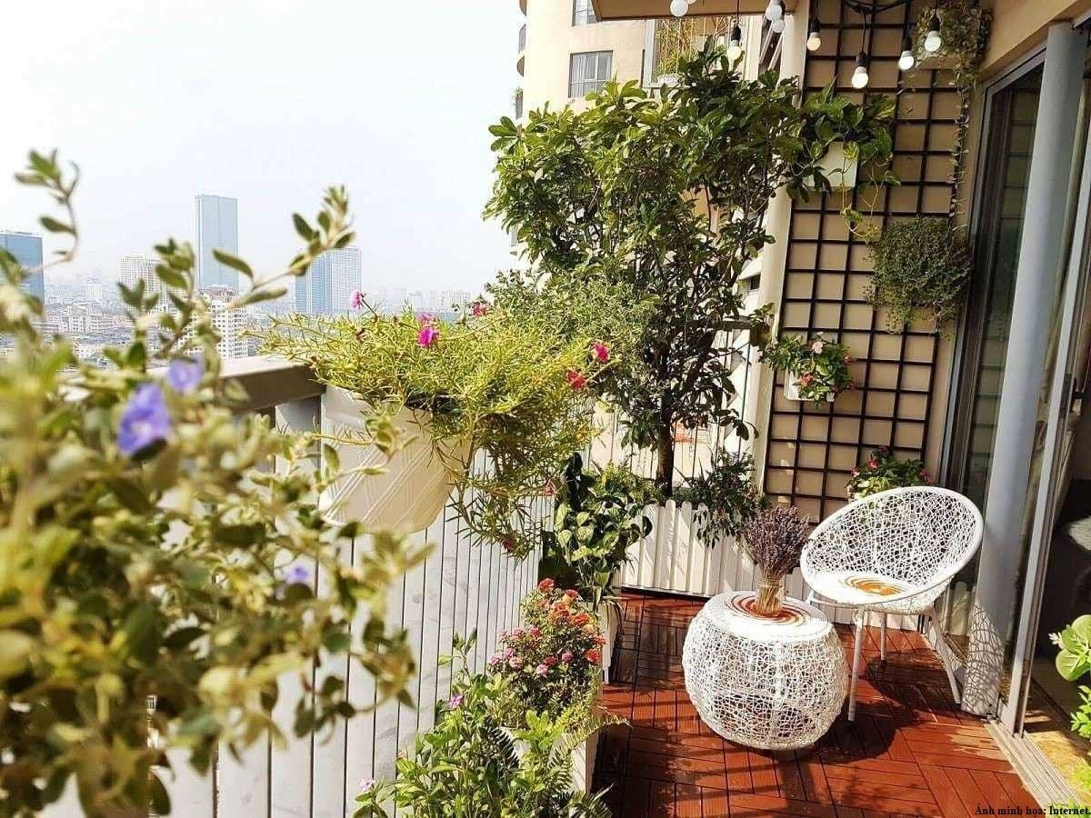 lưu ý khi trồng cây ban công chung cư