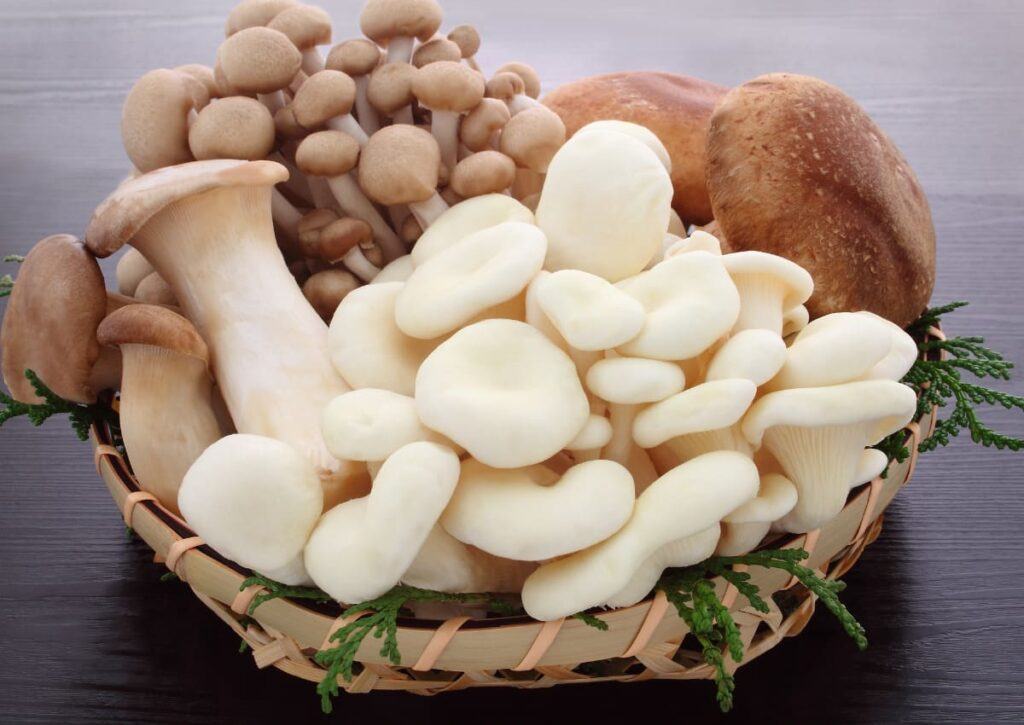 các loại nấm