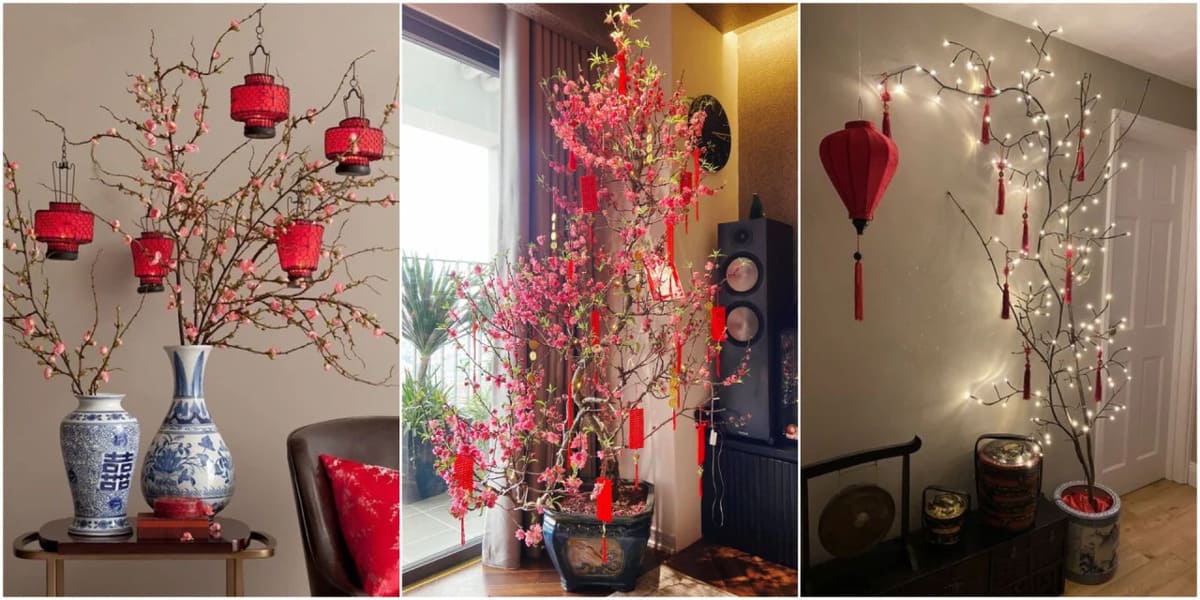 Cành đào bị héo phải làm sao và 8 bí quyết "phục sinh" cành đào trước Tết 42 cành đào bị héo phải làm sao để hoa tươi