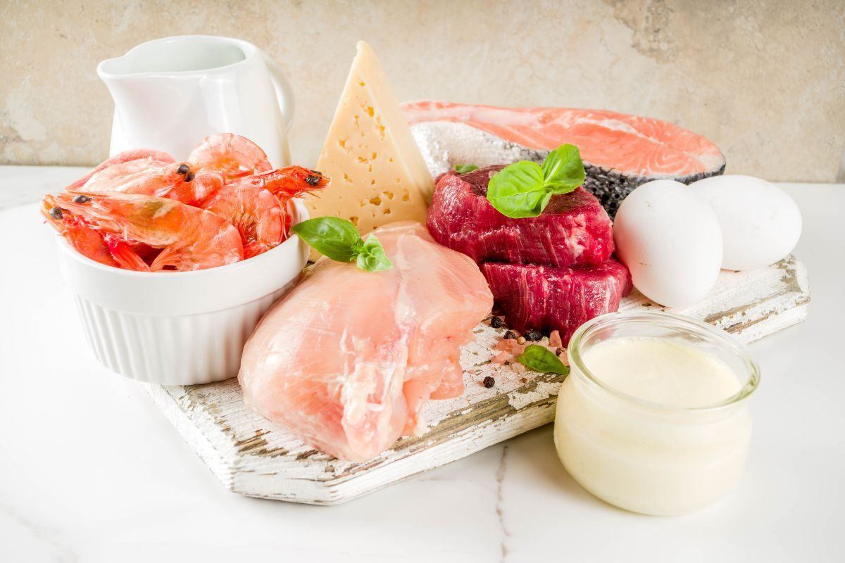 protein-dong-vat Ưu điểm và nhược điểm của protein động vật trong việc kiểm soát cân nặng