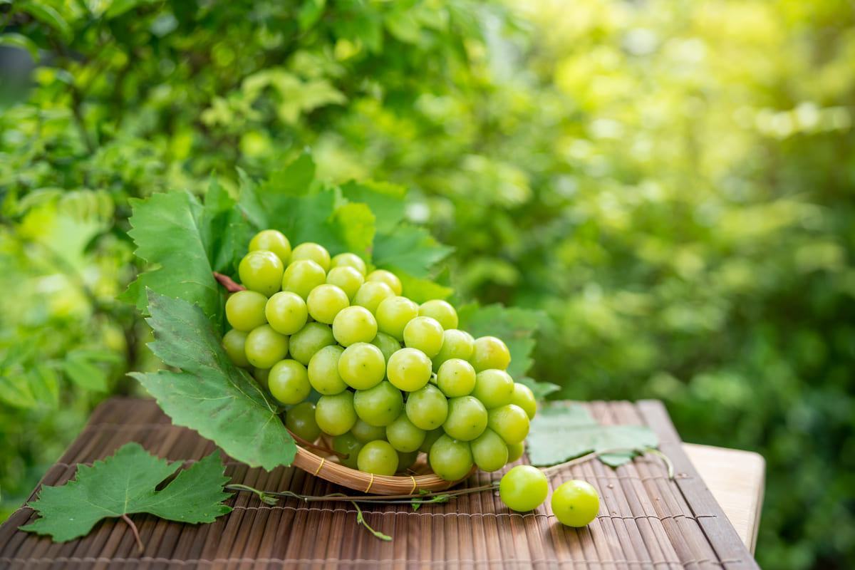 Hãy siêng năng làm bạn với các loại quả mọng này, nàng nhé! 38 công dụng của các loại quả mọng