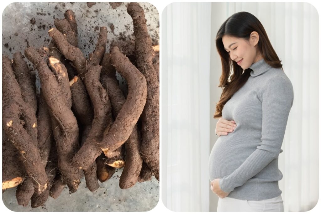 củ gai tươi có tác dụng gì cho bà bầu