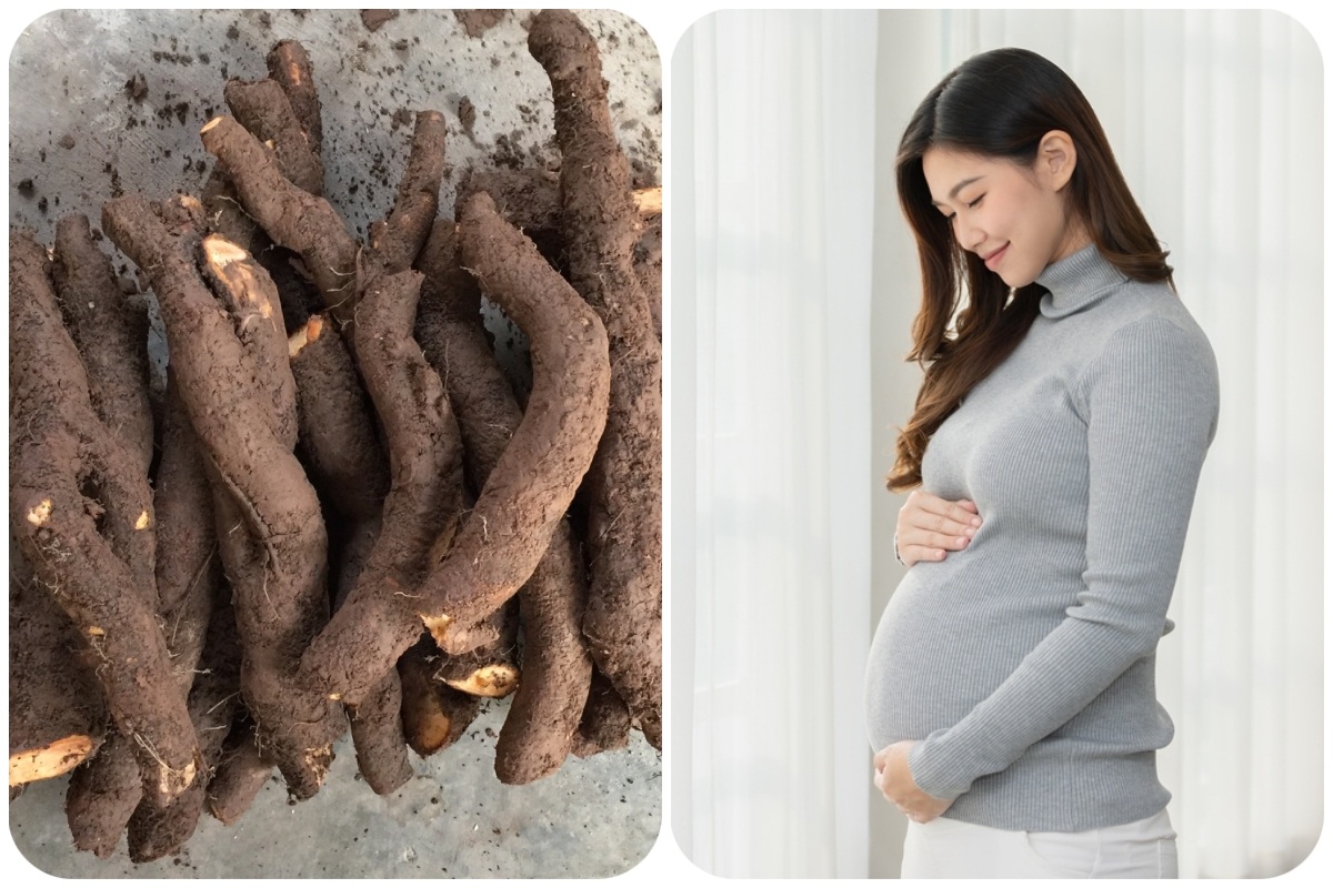củ gai tươi có tác dụng gì cho bà bầu