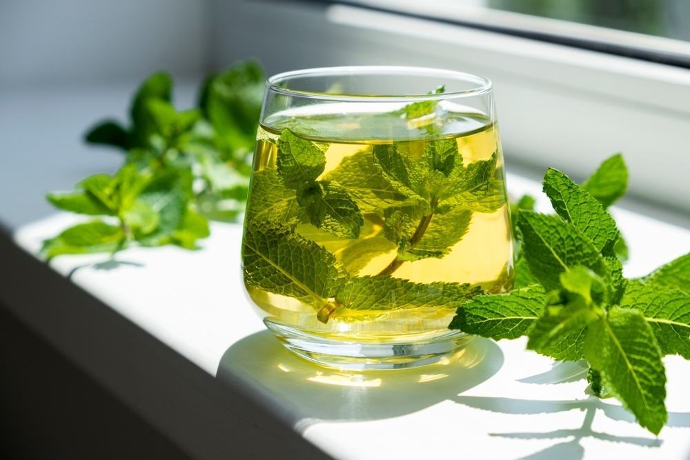 Mẹo dân gian chữa đau đầu cho bà bầu với trà bạc hà Mẹo dân gian chữa đau đầu cho bà bầu là trà bạc hà