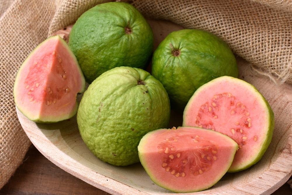 những loại trái cây ngâm rượu tốt cho sức khỏe là trái ổi những loại trái cây ngâm rượu tốt cho sức khỏe là ổi
