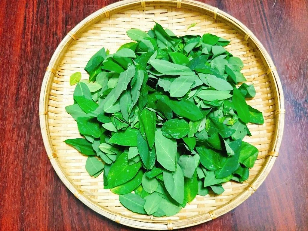 rau ngót bà bầu ăn được không và các điều cần lưu ý rau ngót bà bầu ăn được không và những điều cần lưu ý