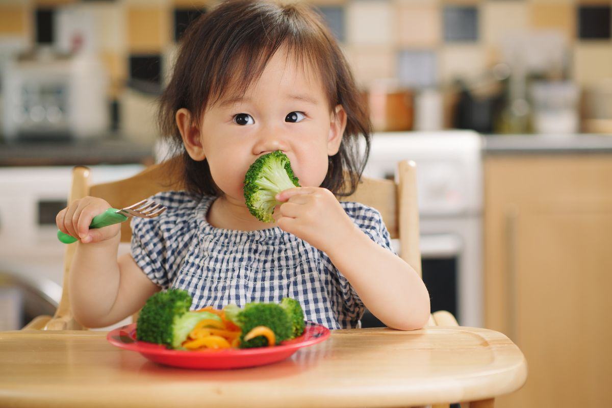 Bé tập ăn đũa tập ăn cho bé