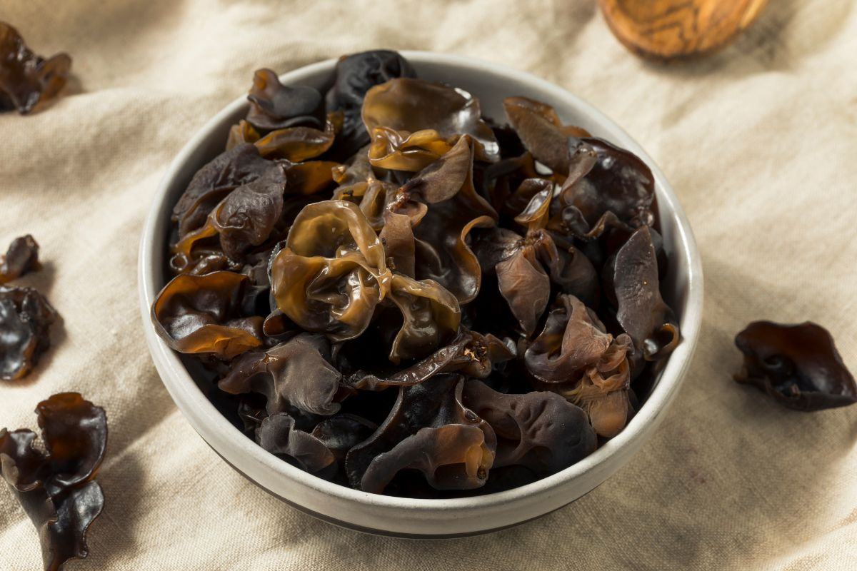 nấm mèo tươi món ngon từ nấm mèo 4