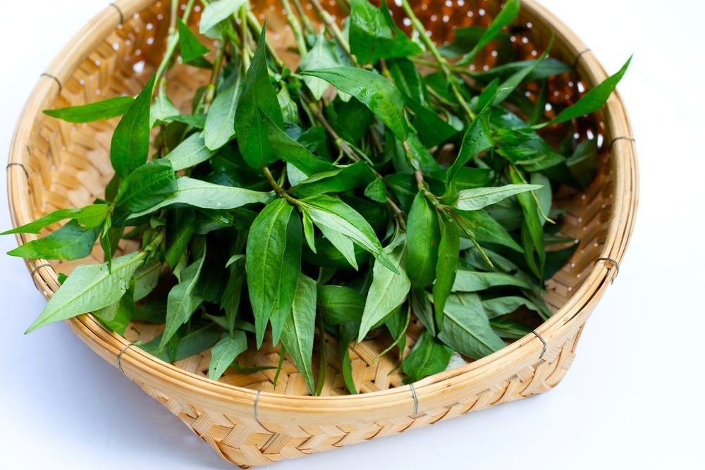 thực phẩm gây mất sữa sau sinh